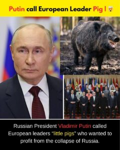Russian President Vladimir Putin sparks fresh controversy after launching sharp criticism against European leaders during a defense meeting, accusing Europe of fueling the Ukraine war for strategic gain as global tensions continue to rise.